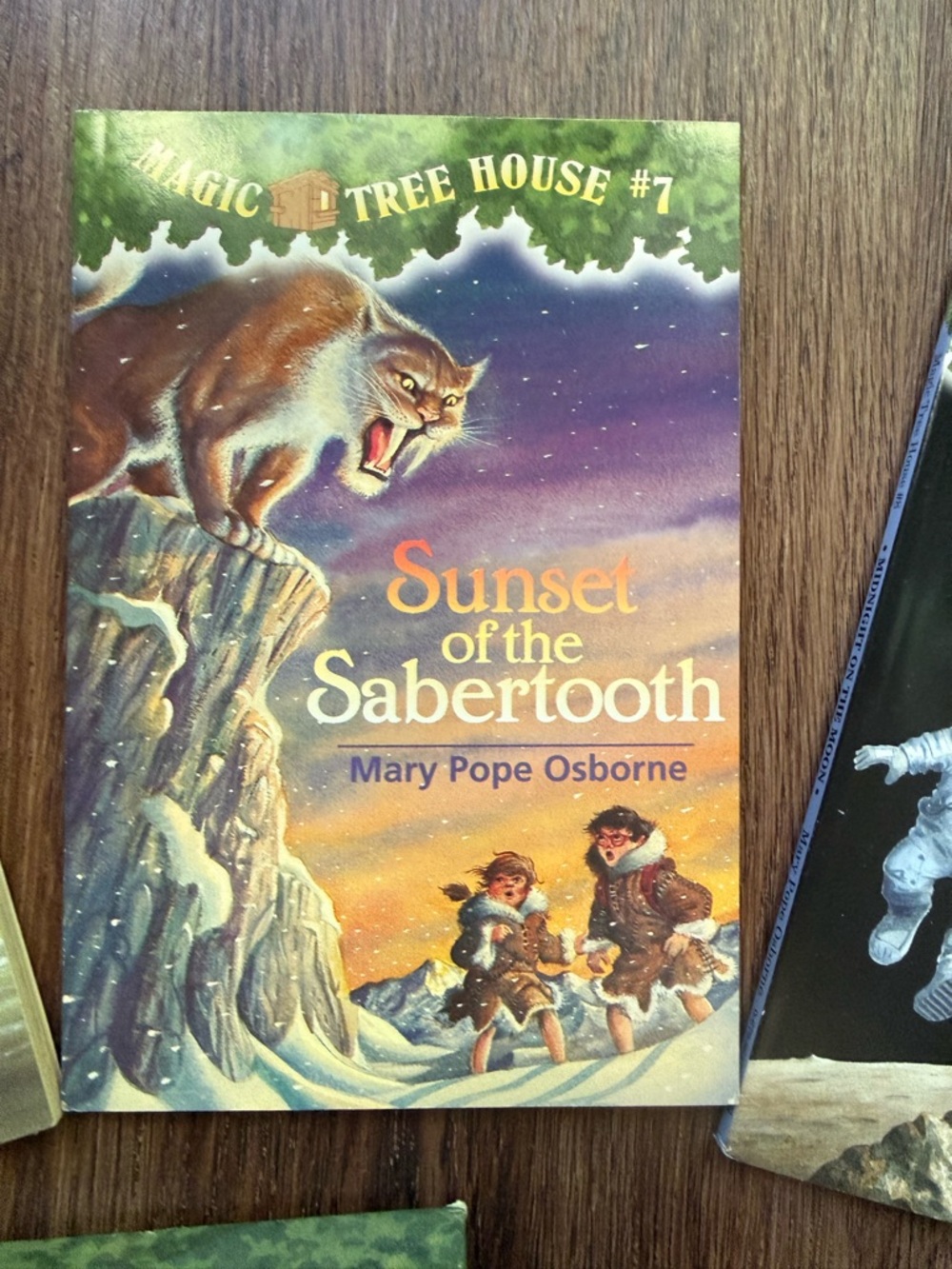 Magic tree house box set - Picture 5 of 6